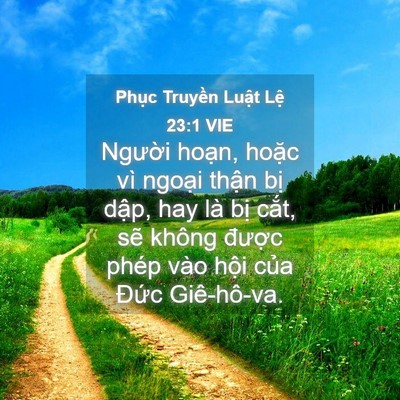 Picture 04 - Phục Truyền Luật Lệ 23:1 VIE - Người hoạn, hoặc vì ngoại thận bị - Bible Verse Picture