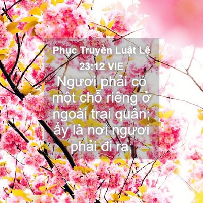 Picture 04 - Phục Truyền Luật Lệ 23:12 VIE - Ngươi phải có một chỗ riêng ở ngoài - Bible Verse Picture