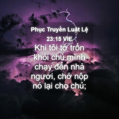 Picture 04 - Phục Truyền Luật Lệ 23:15 VIE - Khi tôi tớ trốn khỏi chủ mình chạy - Bible Verse Picture