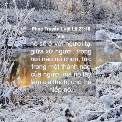 Picture 04 - Phục Truyền Luật Lệ 23:16 VIE - nó sẽ ở với ngươi tại giữa xứ - Bible Verse Picture