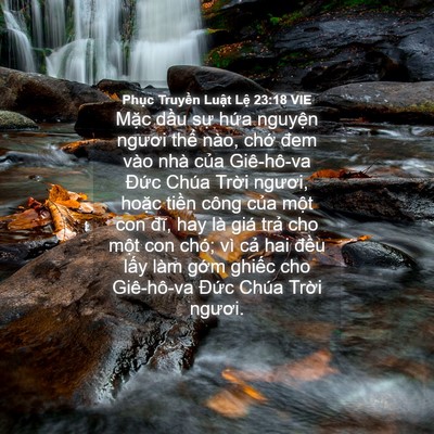 Picture 04 - Phục Truyền Luật Lệ 23:18 VIE - Mặc dầu sự hứa nguyện ngươi thể - Bible Verse Picture