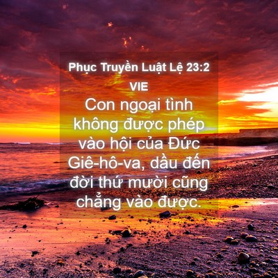 Picture 04 - Phục Truyền Luật Lệ 23:2 VIE - Con ngoại tình không được phép vào - Bible Verse Picture
