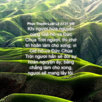 Picture 04 - Phục Truyền Luật Lệ 23:21 VIE - Khi ngươi hứa nguyện cùng Giê-hô-va - Bible Verse Picture