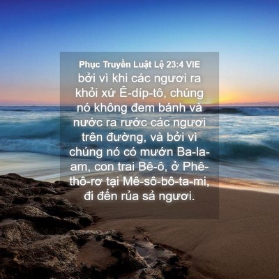 Picture 04 - Phục Truyền Luật Lệ 23:4 VIE - bởi vì khi các ngươi ra khỏi xứ - Bible Verse Picture