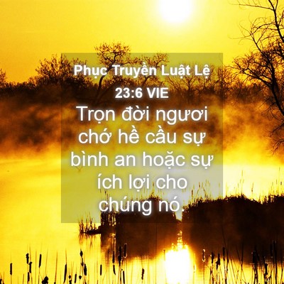 Picture 04 - Phục Truyền Luật Lệ 23:6 VIE - Trọn đời ngươi chớ hề cầu sự bình - Bible Verse Picture