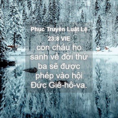 Picture 04 - Phục Truyền Luật Lệ 23:8 VIE - con cháu họ sanh về đời thứ ba sẽ - Bible Verse Picture