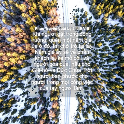 Picture 04 - Phục Truyền Luật Lệ 24:19 VIE - Khi ngươi gặt trong đồng ruộng, quên - Bible Verse Picture