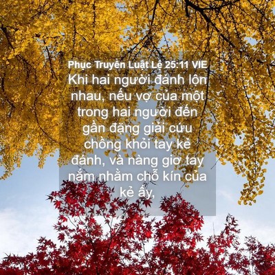 Picture 04 - Phục Truyền Luật Lệ 25:11 VIE - Khi hai người đánh lộn nhau, nếu vợ - Bible Verse Picture