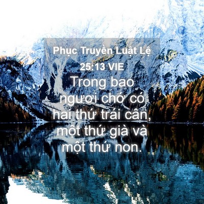 Picture 04 - Phục Truyền Luật Lệ 25:13 VIE - Trong bao ngươi chớ có hai thứ trái cân, - Bible Verse Picture