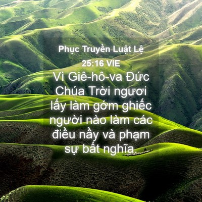 Picture 04 - Phục Truyền Luật Lệ 25:16 VIE - Vì Giê-hô-va Đức Chúa Trời ngươi lấy - Bible Verse Picture