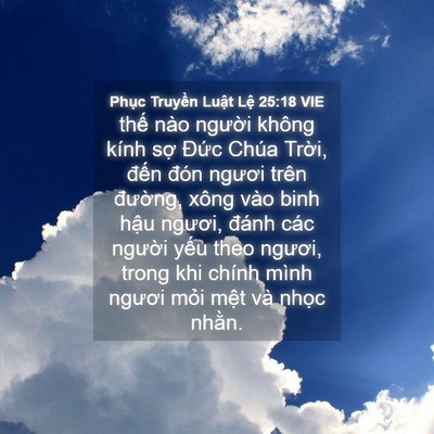 Picture 04 - Phục Truyền Luật Lệ 25:18 VIE - thế nào người không kính sợ Đức - Bible Verse Picture