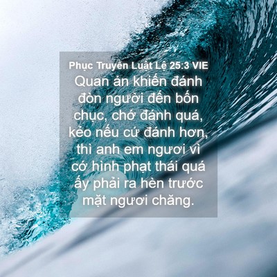 Picture 04 - Phục Truyền Luật Lệ 25:3 VIE - Quan án khiến đánh đòn người đến - Bible Verse Picture