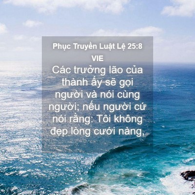 Picture 04 - Phục Truyền Luật Lệ 25:8 VIE - Các trưởng lão của thành ấy sẽ gọi - Bible Verse Picture