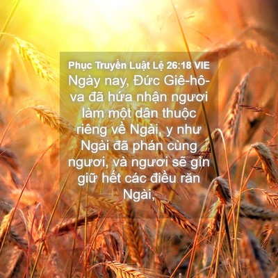 Picture 04 - Phục Truyền Luật Lệ 26:18 VIE - Ngày nay, Đức Giê-hô-va đã hứa nhận - Bible Verse Picture