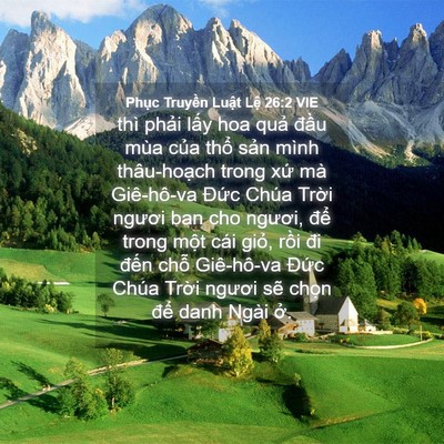 Picture 04 - Phục Truyền Luật Lệ 26:2 VIE - thì phải lấy hoa quả đầu mùa của - Bible Verse Picture