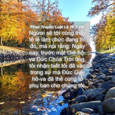 Picture 04 - Phục Truyền Luật Lệ 26:3 VIE - Ngươi sẽ tới cùng thầy tế lễ làm - Bible Verse Picture