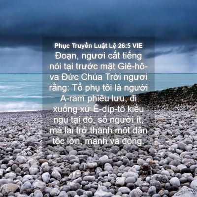 Picture 04 - Phục Truyền Luật Lệ 26:5 VIE - Đoạn, ngươi cất tiếng nói tại - Bible Verse Picture