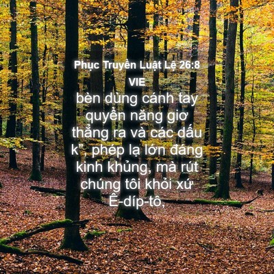 Picture 04 - Phục Truyền Luật Lệ 26:8 VIE - bèn dùng cánh tay quyền năng giơ thẳng - Bible Verse Picture