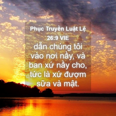Picture 04 - Phục Truyền Luật Lệ 26:9 VIE - dẫn chúng tôi vào nơi nầy, và ban xứ - Bible Verse Picture