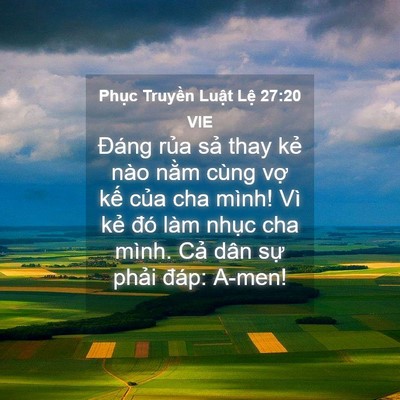 Picture 04 - Phục Truyền Luật Lệ 27:20 VIE - Đáng rủa sả thay kẻ nào nằm cùng vợ - Bible Verse Picture