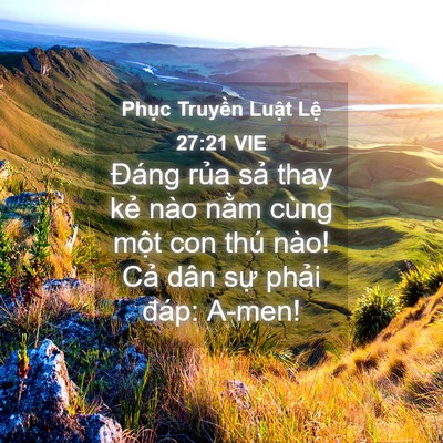 Picture 04 - Phục Truyền Luật Lệ 27:21 VIE - Đáng rủa sả thay kẻ nào nằm cùng - Bible Verse Picture