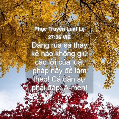 Picture 04 - Phục Truyền Luật Lệ 27:26 VIE - Đáng rủa sả thay kẻ nào không giữ - Bible Verse Picture