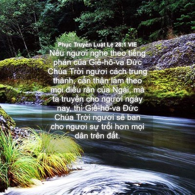 Picture 04 - Phục Truyền Luật Lệ 28:1 VIE - Nếu ngươi nghe theo tiếng phán của - Bible Verse Picture