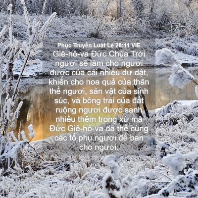 Picture 04 - Phục Truyền Luật Lệ 28:11 VIE - Giê-hô-va Đức Chúa Trời ngươi sẽ làm - Bible Verse Picture