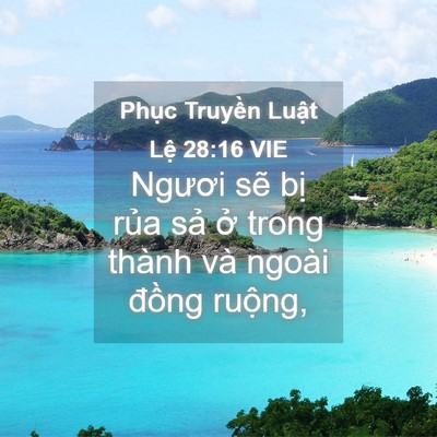 Picture 04 - Phục Truyền Luật Lệ 28:16 VIE - Ngươi sẽ bị rủa sả ở trong thành và - Bible Verse Picture