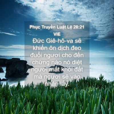 Picture 04 - Phục Truyền Luật Lệ 28:21 VIE - Đức Giê-hô-va sẽ khiến ôn dịch đeo - Bible Verse Picture
