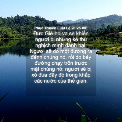 Picture 04 - Phục Truyền Luật Lệ 28:25 VIE - Đức Giê-hô-va sẽ khiến ngươi bị - Bible Verse Picture