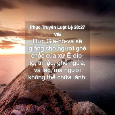 Picture 04 - Phục Truyền Luật Lệ 28:27 VIE - Đức Giê-hô-va sẽ giáng cho ngươi ghẻ - Bible Verse Picture