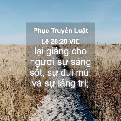 Picture 04 - Phục Truyền Luật Lệ 28:28 VIE - lại giáng cho ngươi sự sảng sốt, sự - Bible Verse Picture