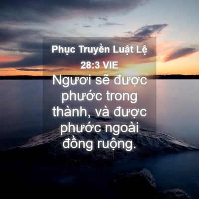 Picture 04 - Phục Truyền Luật Lệ 28:3 VIE - Ngươi sẽ được phước trong thành, và - Bible Verse Picture