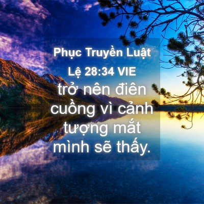 Picture 04 - Phục Truyền Luật Lệ 28:34 VIE - trở nên điên cuồng vì cảnh tượng - Bible Verse Picture