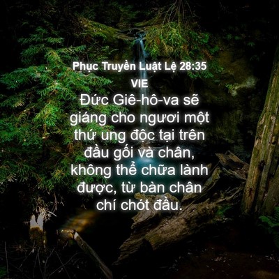 Picture 04 - Phục Truyền Luật Lệ 28:35 VIE - Đức Giê-hô-va sẽ giáng cho ngươi một - Bible Verse Picture