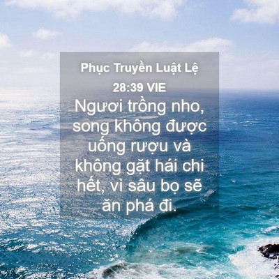 Picture 04 - Phục Truyền Luật Lệ 28:39 VIE - Ngươi trồng nho, song không được uống - Bible Verse Picture