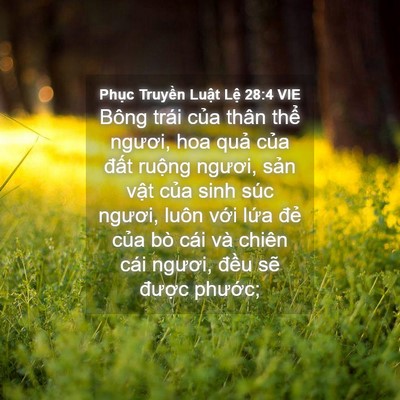 Picture 04 - Phục Truyền Luật Lệ 28:4 VIE - Bông trái của thân thể ngươi, hoa quả - Bible Verse Picture