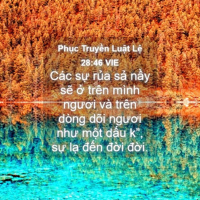 Picture 04 - Phục Truyền Luật Lệ 28:46 VIE - Các sự rủa sả nầy sẽ ở trên mình - Bible Verse Picture