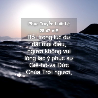 Picture 04 - Phục Truyền Luật Lệ 28:47 VIE - Bởi trong lúc dư dật mọi điều, ngươi - Bible Verse Picture