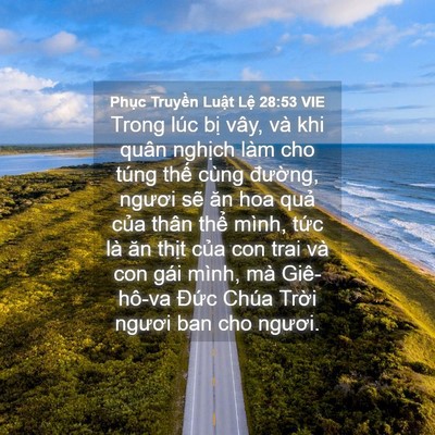 Picture 04 - Phục Truyền Luật Lệ 28:53 VIE - Trong lúc bị vây, và khi quân nghịch làm - Bible Verse Picture