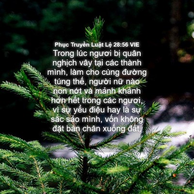 Picture 04 - Phục Truyền Luật Lệ 28:56 VIE - Trong lúc ngươi bị quân nghịch vây tại - Bible Verse Picture