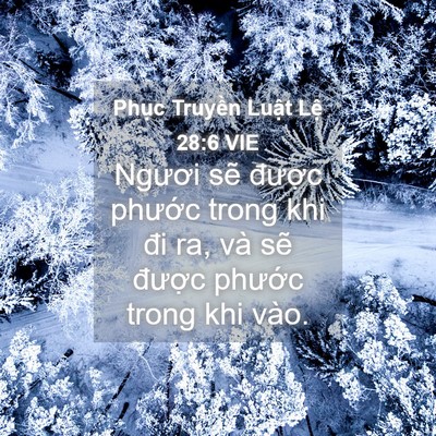Picture 04 - Phục Truyền Luật Lệ 28:6 VIE - Ngươi sẽ được phước trong khi đi ra, - Bible Verse Picture