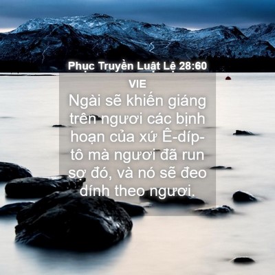 Picture 04 - Phục Truyền Luật Lệ 28:60 VIE - Ngài sẽ khiến giáng trên ngươi các - Bible Verse Picture