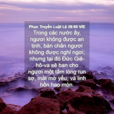 Picture 04 - Phục Truyền Luật Lệ 28:65 VIE - Trong các nước ấy, ngươi không được - Bible Verse Picture