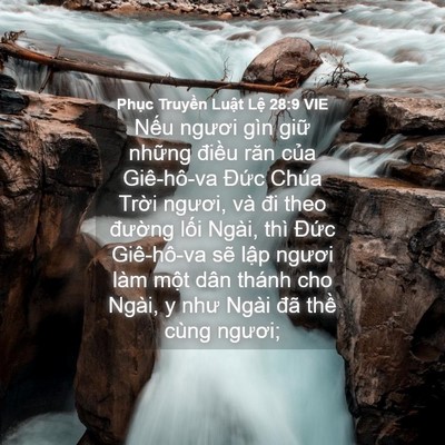 Picture 04 - Phục Truyền Luật Lệ 28:9 VIE - Nếu ngươi gìn giữ những điều răn - Bible Verse Picture