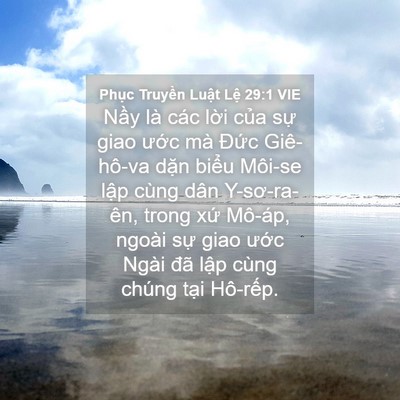 Picture 04 - Phục Truyền Luật Lệ 29:1 VIE - Nầy là các lời của sự giao ước mà - Bible Verse Picture