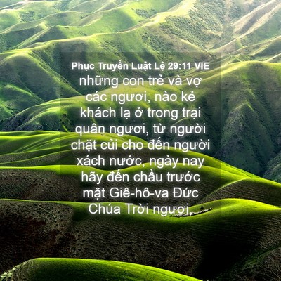 Picture 04 - Phục Truyền Luật Lệ 29:11 VIE - những con trẻ và vợ các ngươi, nào - Bible Verse Picture