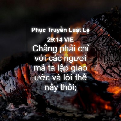 Picture 04 - Phục Truyền Luật Lệ 29:14 VIE - Chẳng phải chỉ với các ngươi mà ta - Bible Verse Picture