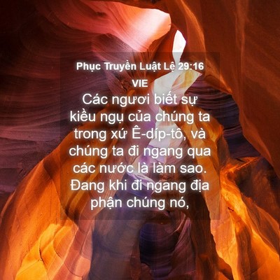 Picture 04 - Phục Truyền Luật Lệ 29:16 VIE - Các ngươi biết sự kiều ngụ của - Bible Verse Picture